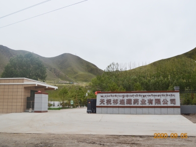 天(tian)祝祁連(lián)藏藥業(ye)